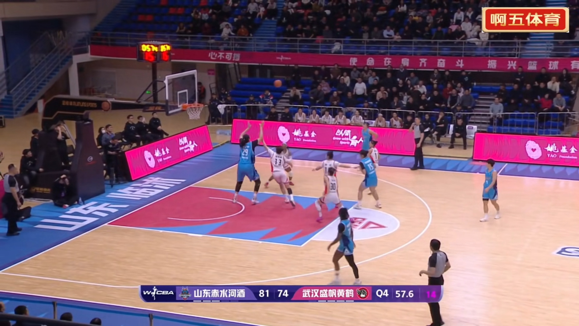 包含刚刚！山东男篮门线救险备战意大利杯纽约尼克斯赛后篮板制胜，赛前尼斯豪取连胜的词条华体会